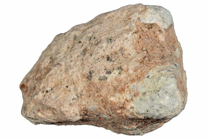 Lunar Meteorite ( g) - Bechar #288488
